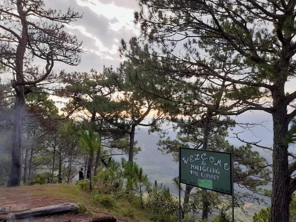 Bontoc  Vilma'S Homestay מראה חיצוני תמונה